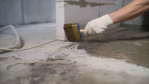 SJ Waterproofing Pros Waterproofing coverage map for Albany, WI and surrounding area